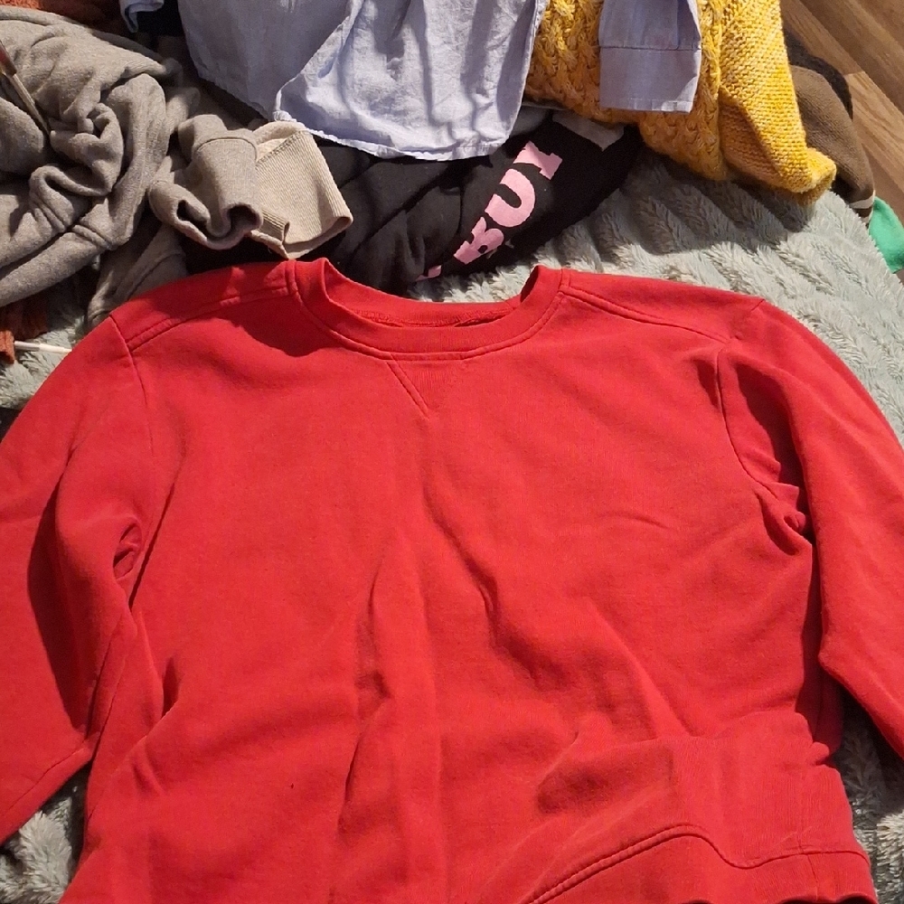 Red Crewneck Sweatshirt